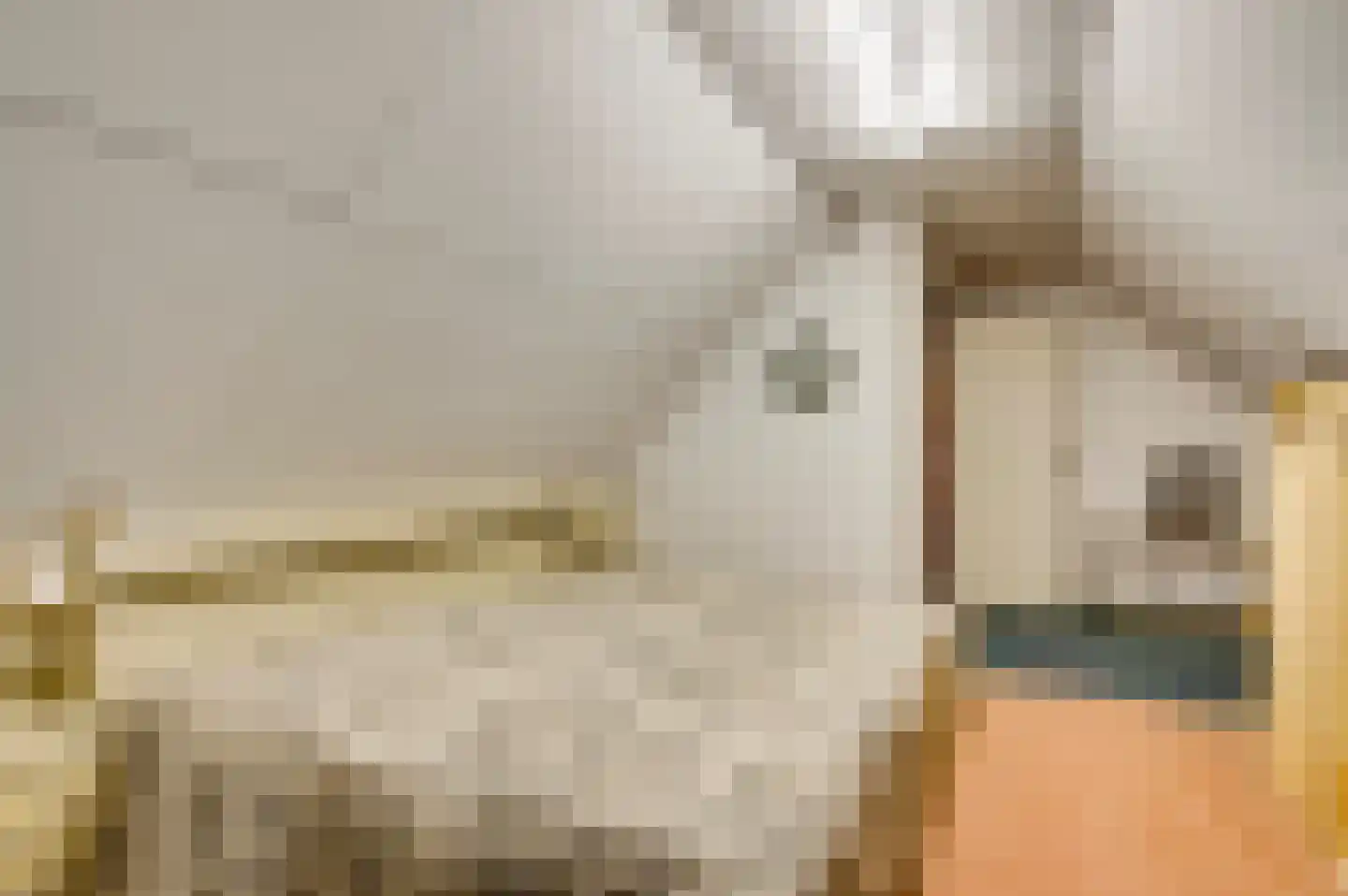 San Giorgilaan 15 Eindhoven thumbnail 27