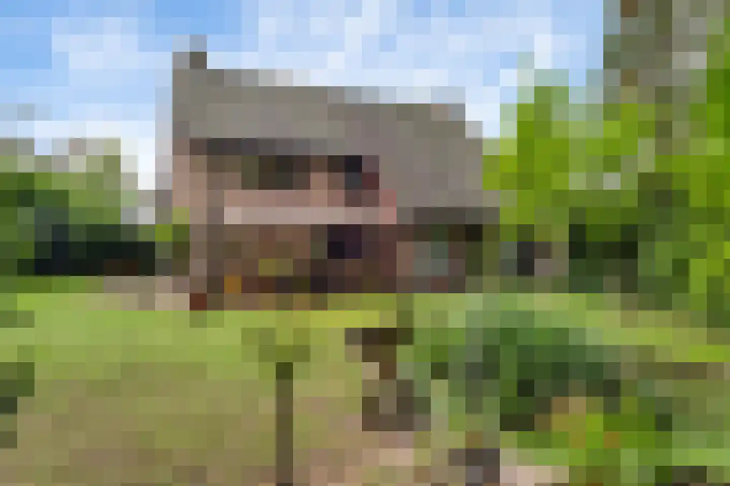 San Giorgilaan 15 Eindhoven thumbnail 29