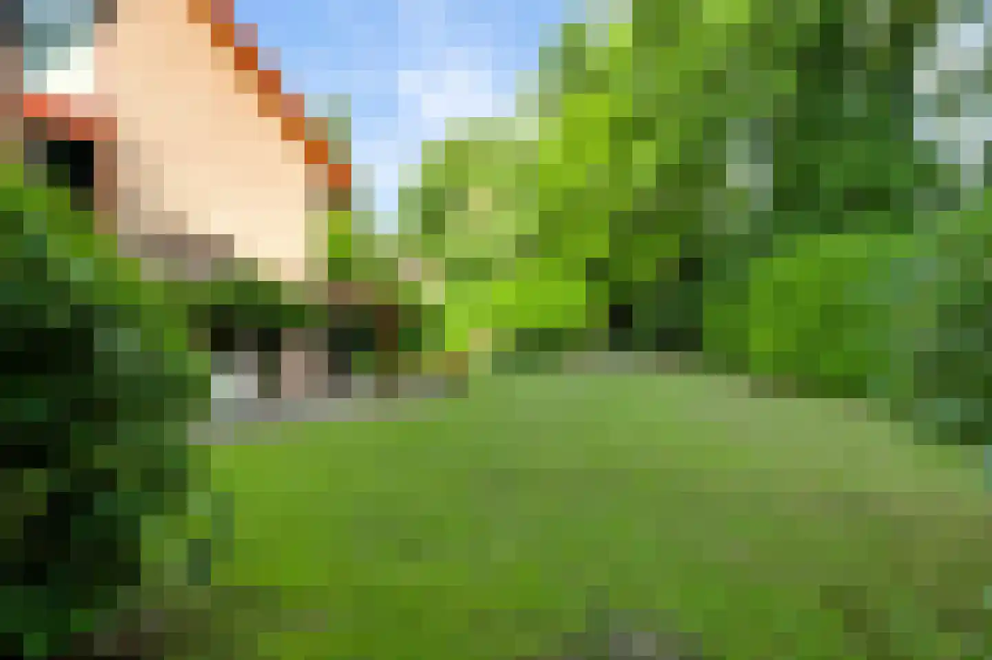 San Giorgilaan 15 Eindhoven thumbnail 30