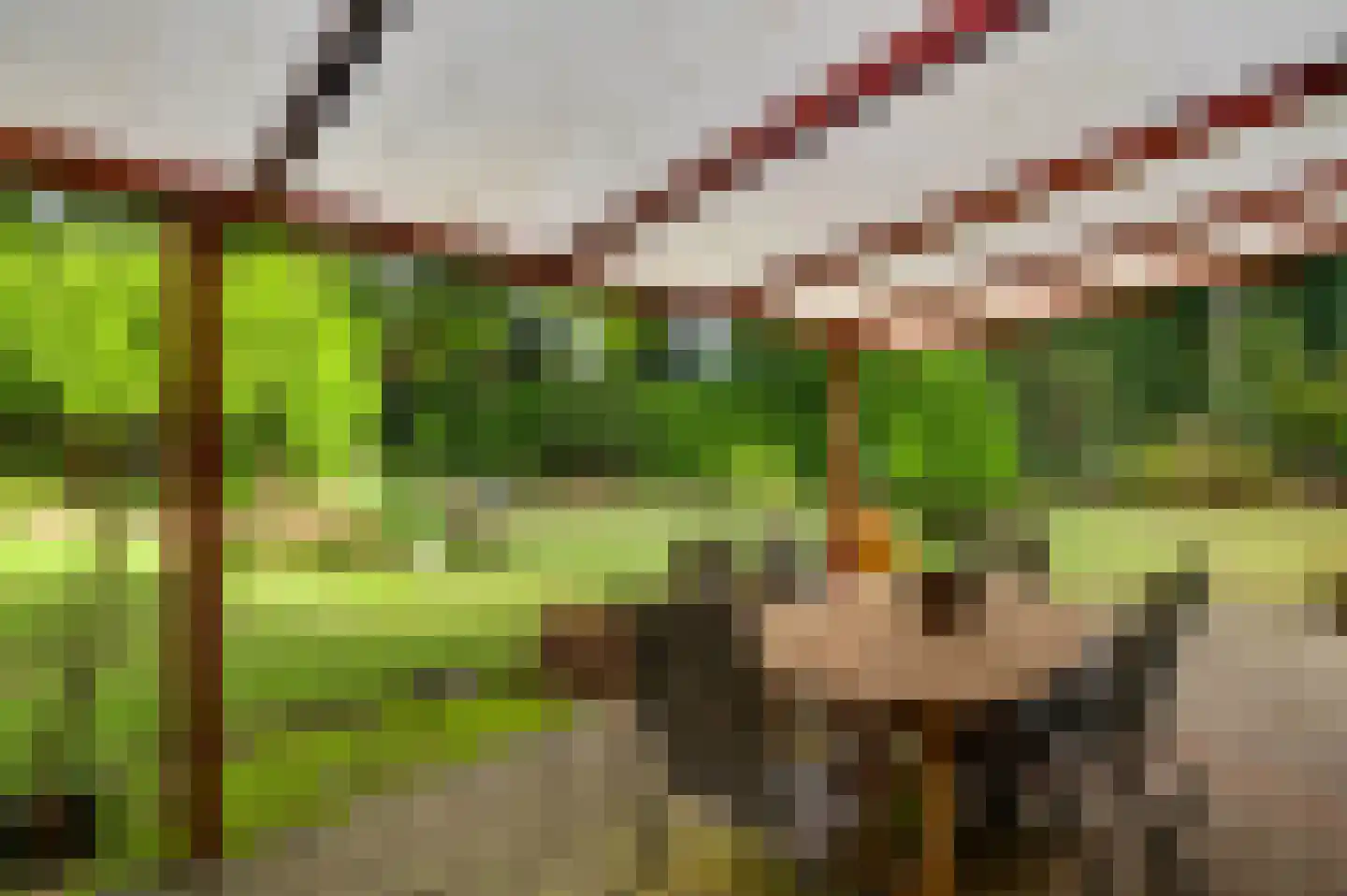 San Giorgilaan 15 Eindhoven thumbnail 33
