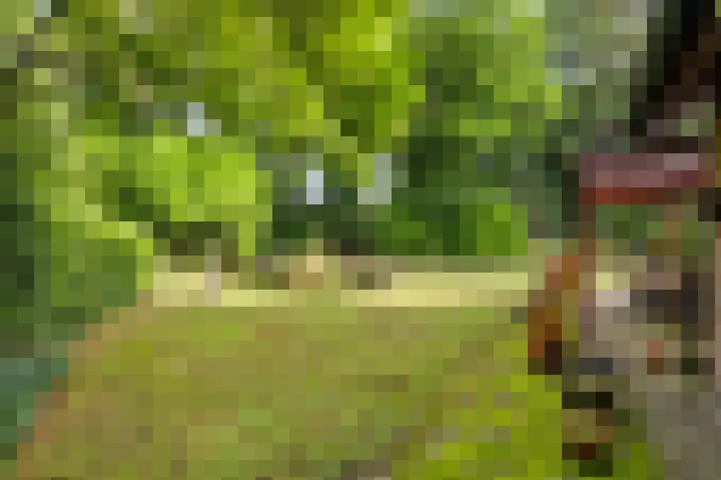 San Giorgilaan 15 Eindhoven thumbnail 34