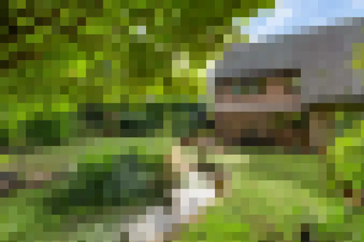 San Giorgilaan 15 Eindhoven thumbnail 36