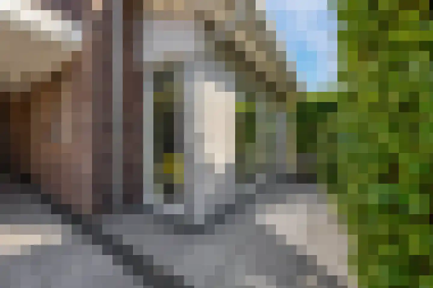San Marco 14 Hoofddorp thumbnail 14