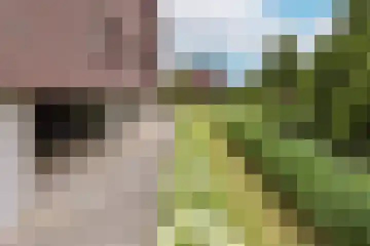 San Marco 44 Hoofddorp thumbnail 33