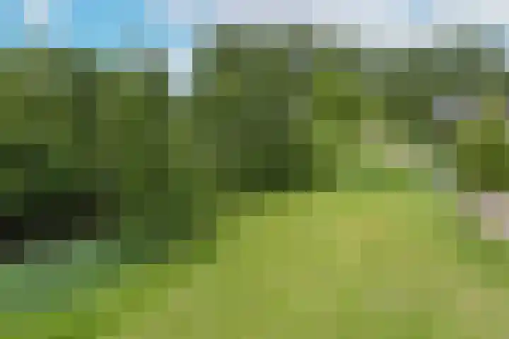 San Marco 44 Hoofddorp thumbnail 4