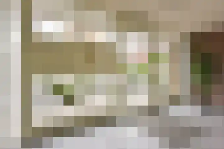 San Marco 44 Hoofddorp thumbnail 6