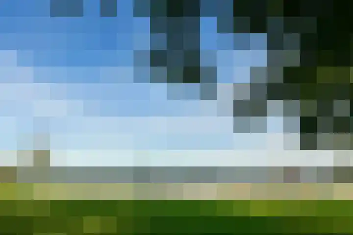San Marco 53 Hoofddorp thumbnail 38