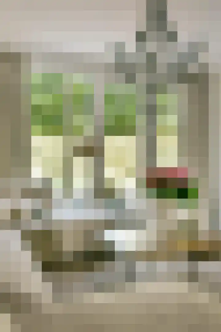 San Marco 53 Hoofddorp thumbnail 9