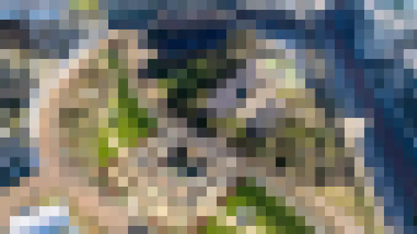 San Marinostraat 105 Utrecht thumbnail 52