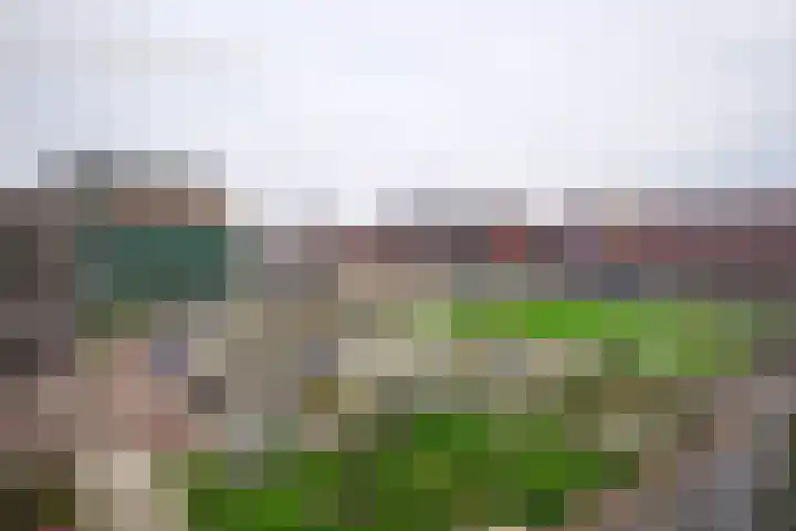 San Marinostraat 109 Utrecht thumbnail 23