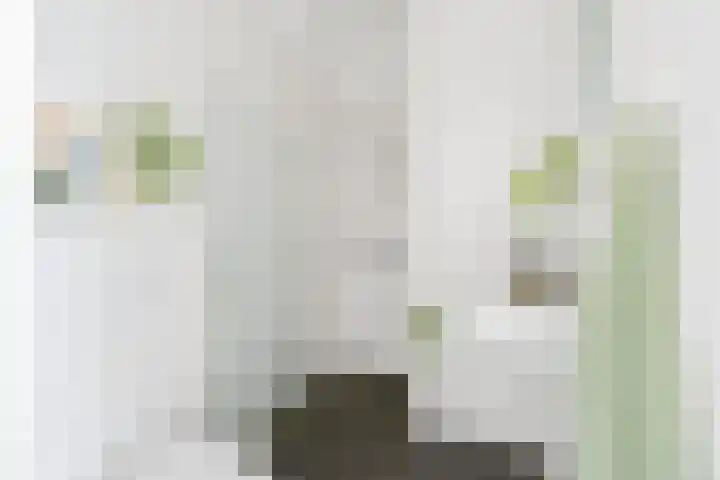 San Marinostraat 11 Almere thumbnail 4
