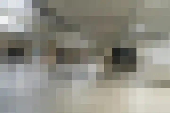San Marinostraat 123 Utrecht thumbnail 41