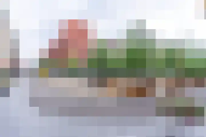 San Marinostraat 123 Utrecht thumbnail 49