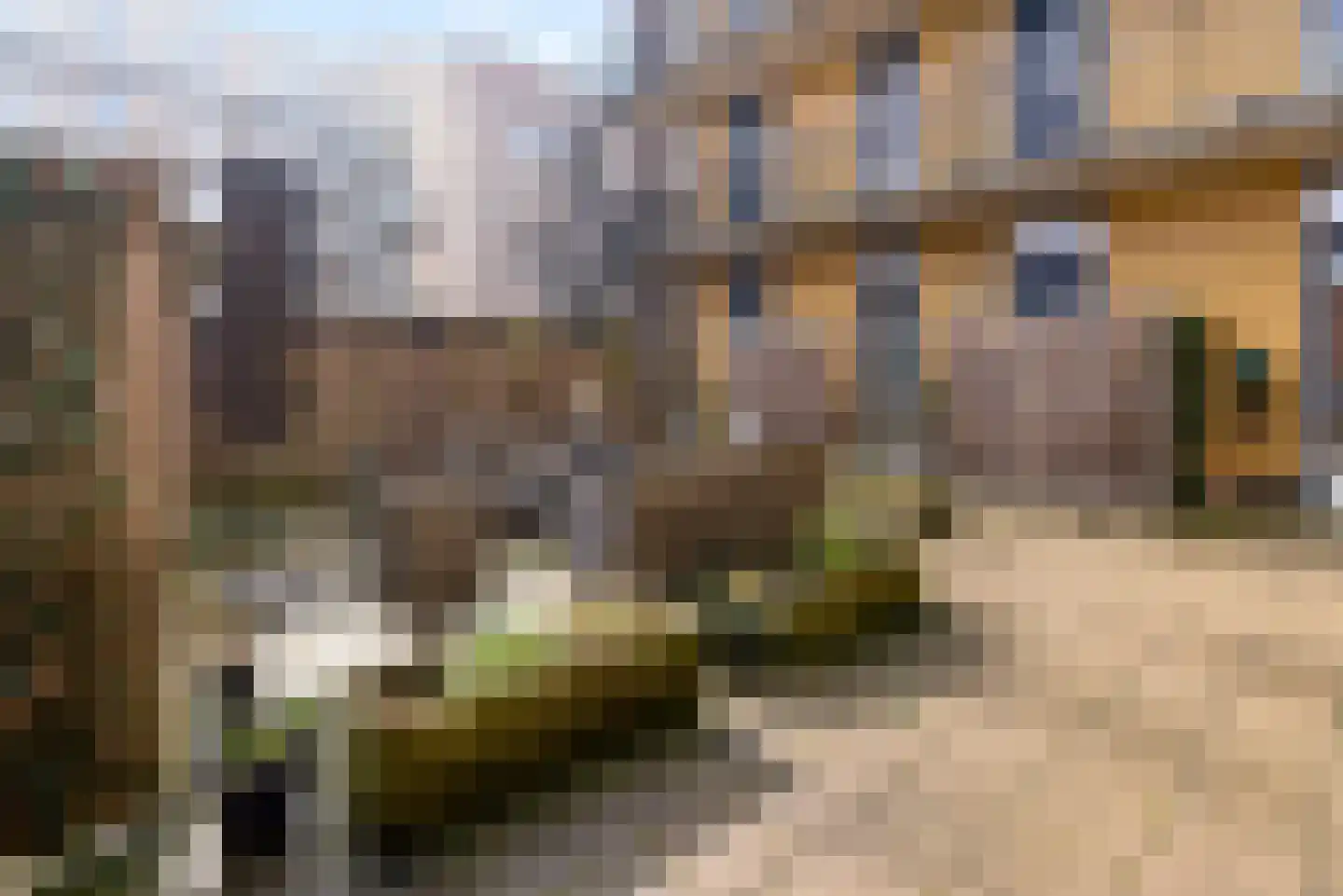 San Marinostraat 13 Almere thumbnail 19