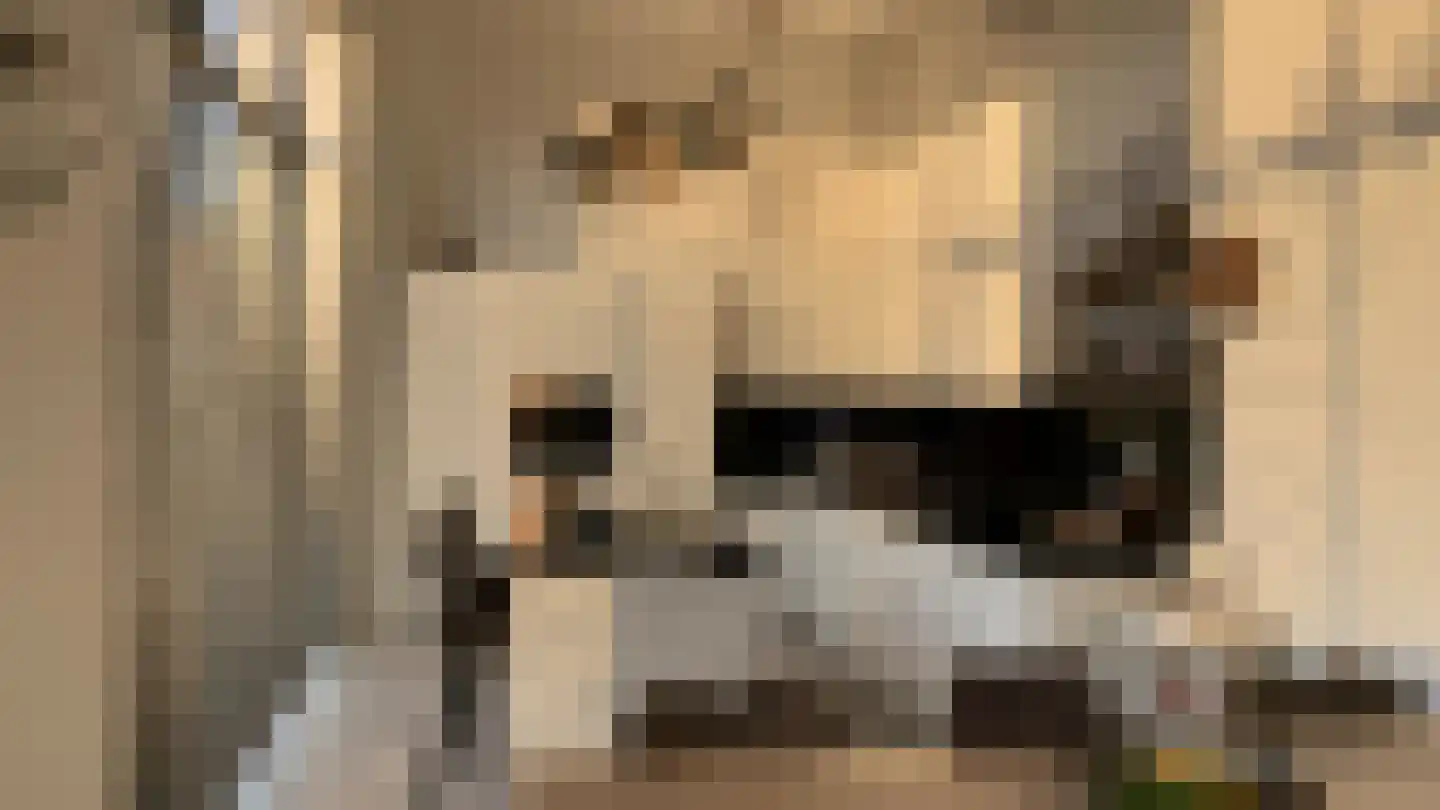 San Marinostraat 59 Utrecht thumbnail 10