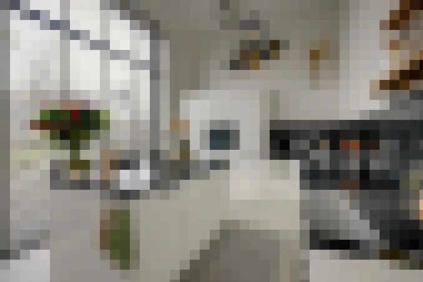 San Marinostraat 59 Utrecht thumbnail 15