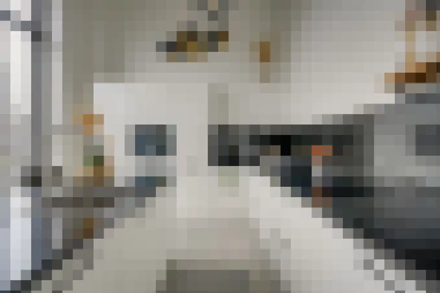 San Marinostraat 59 Utrecht thumbnail 16