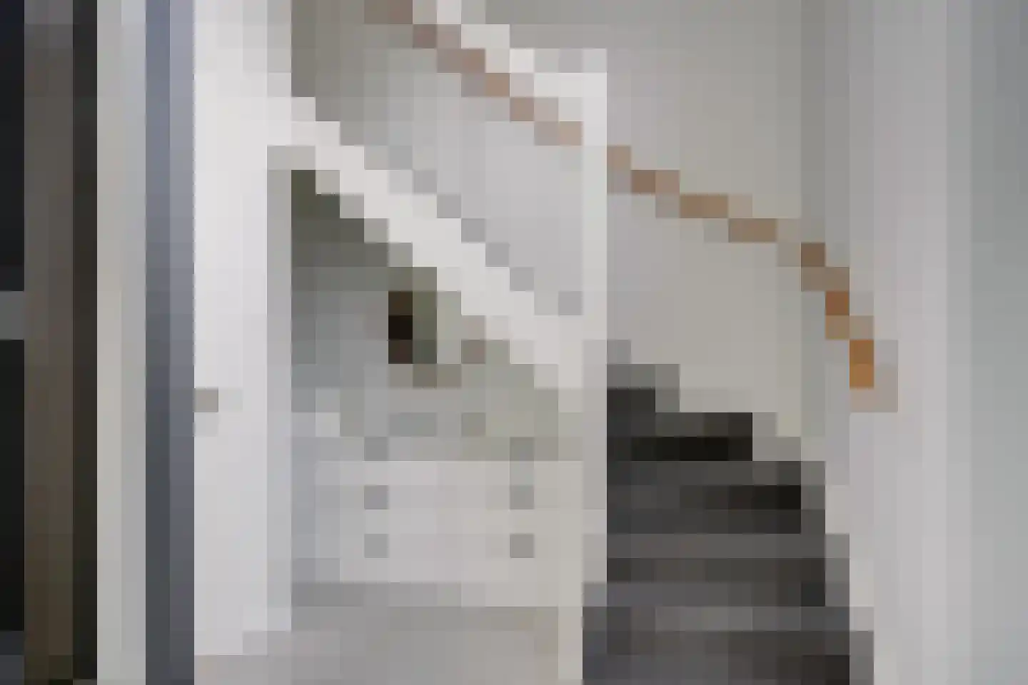 San Marinostraat 59 Utrecht thumbnail 18