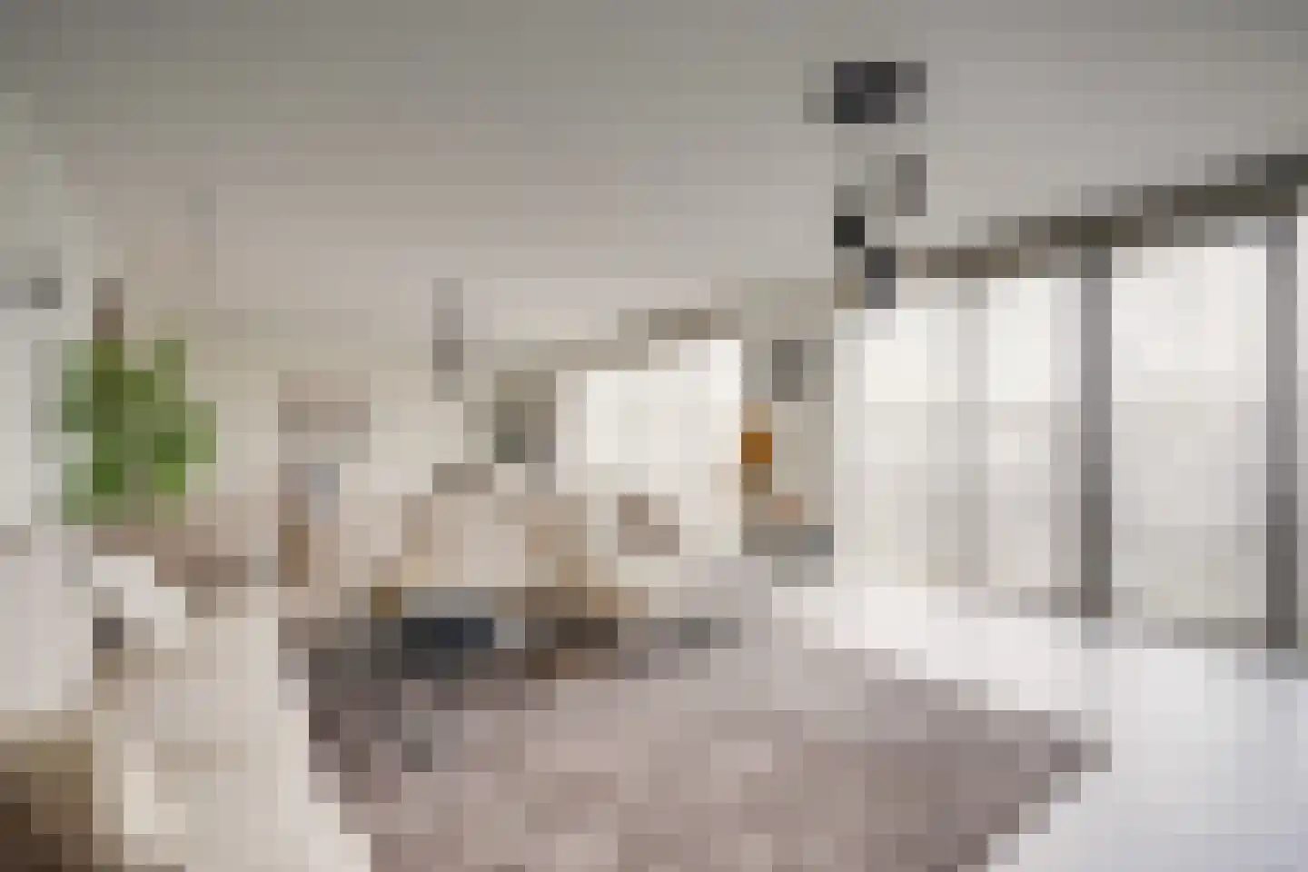 San Marinostraat 59 Utrecht thumbnail 22