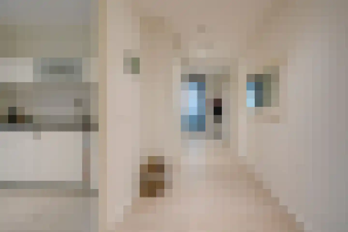 San Marinostraat 59 Utrecht thumbnail 28