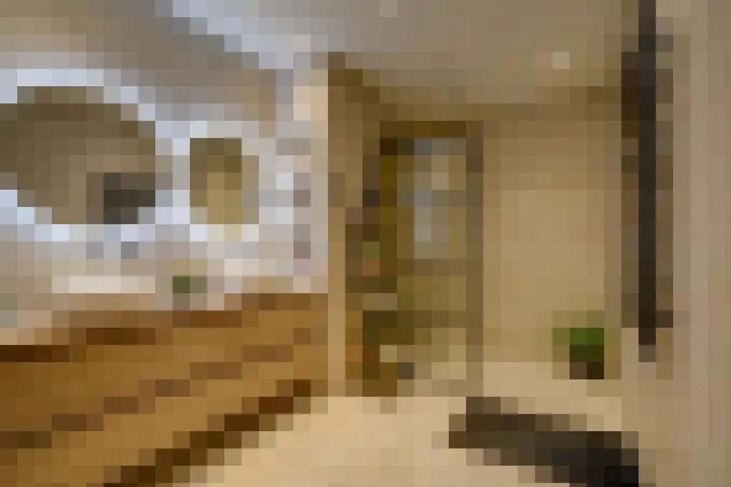 San Marinostraat 59 Utrecht thumbnail 35