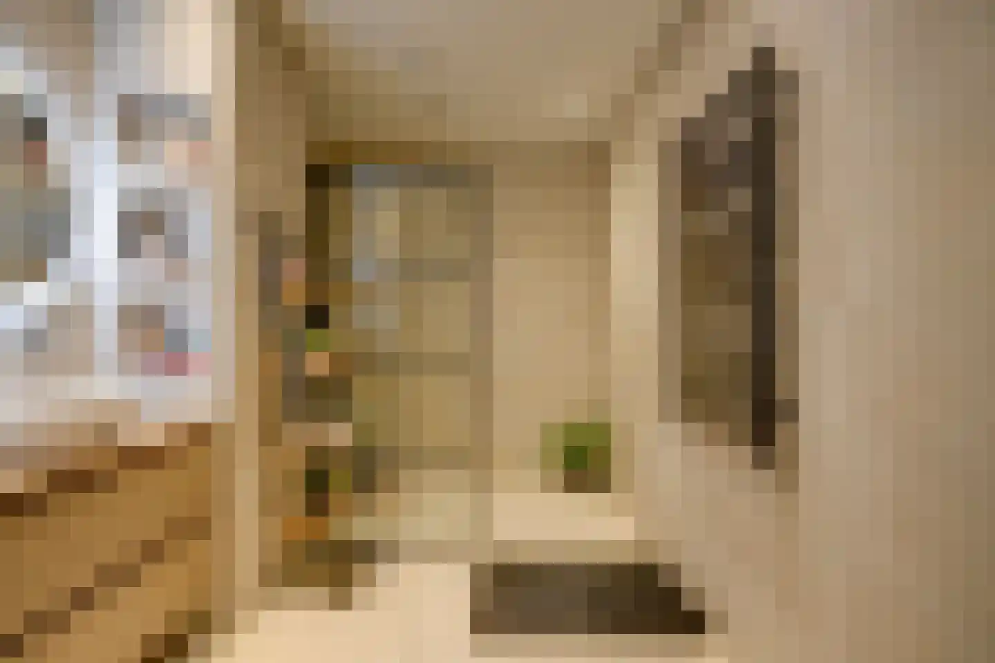 San Marinostraat 59 Utrecht thumbnail 36