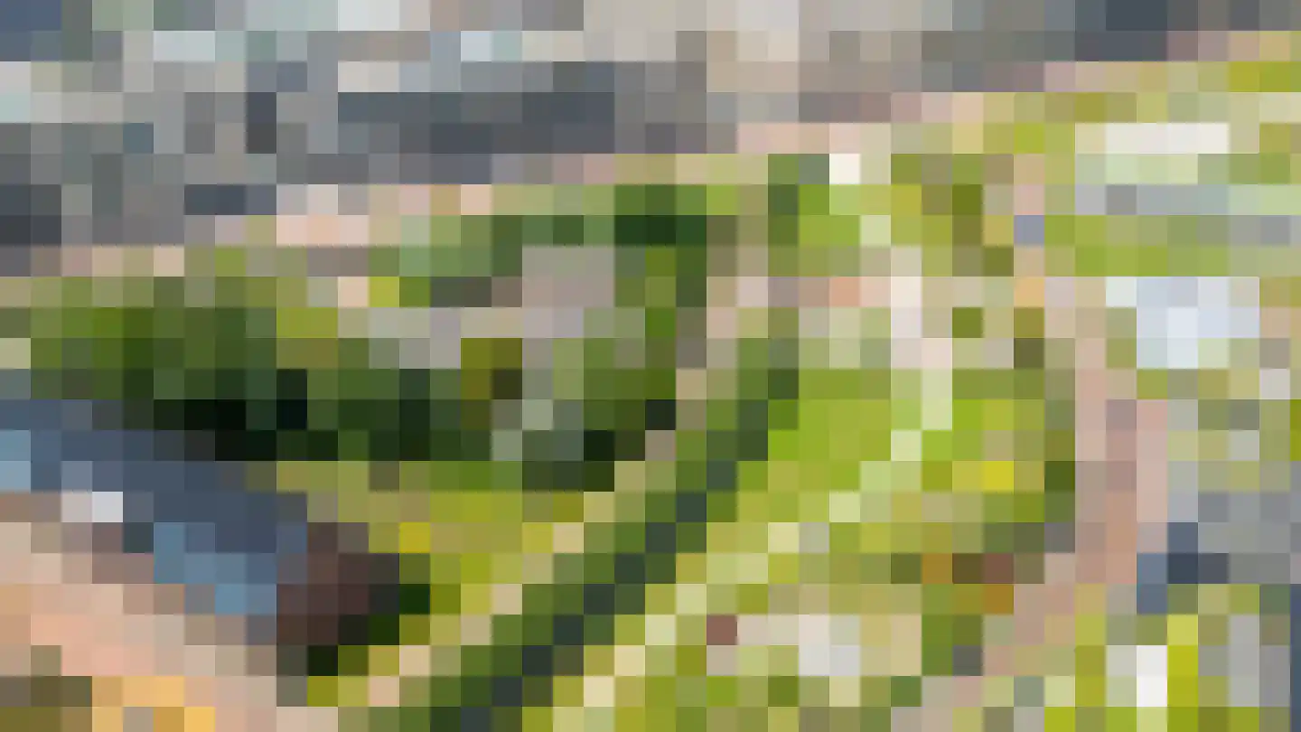 San Marinostraat 59 Utrecht thumbnail 48