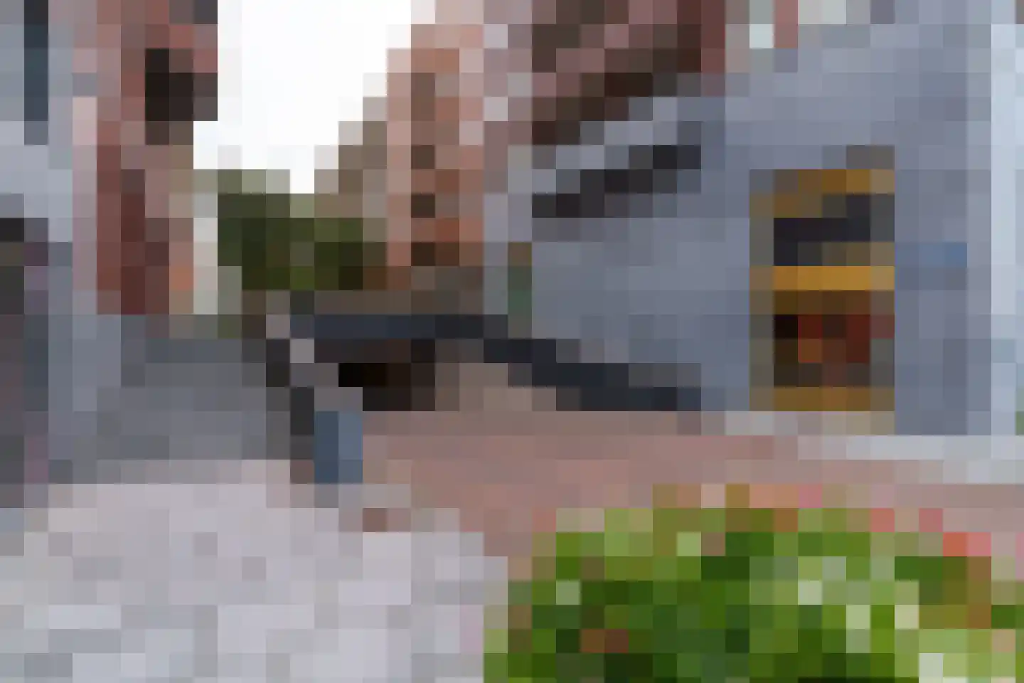 San Marinostraat 59 Utrecht thumbnail 53