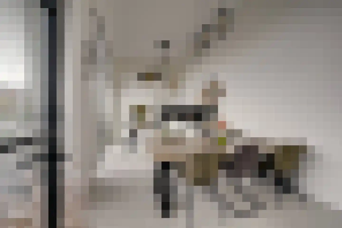 San Marinostraat 59 Utrecht thumbnail 9