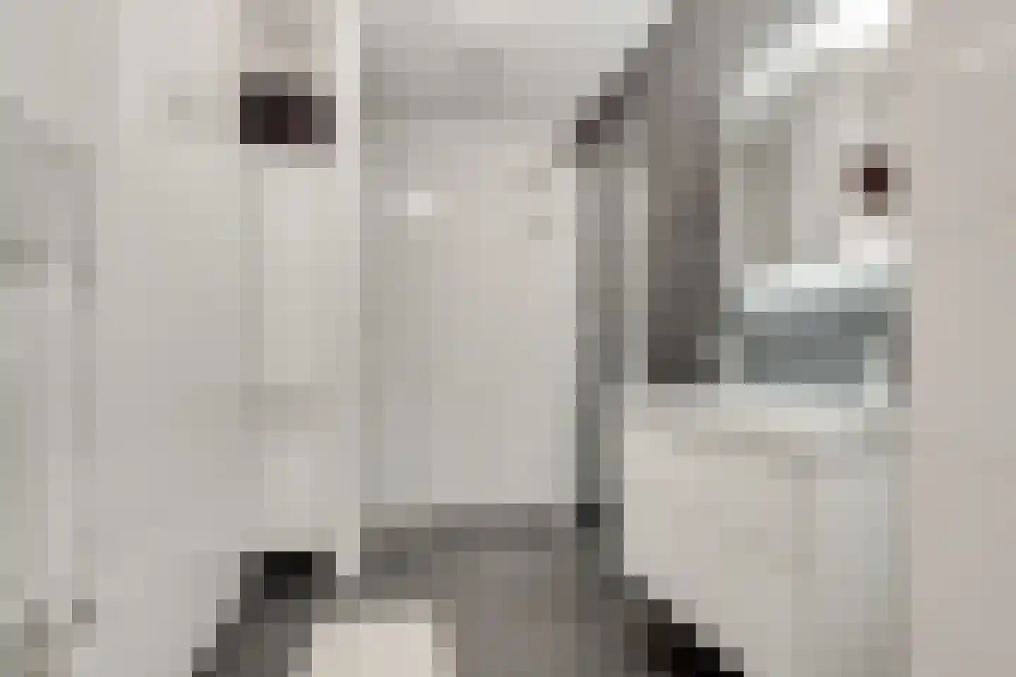 San Marinostraat 77 Utrecht thumbnail 5