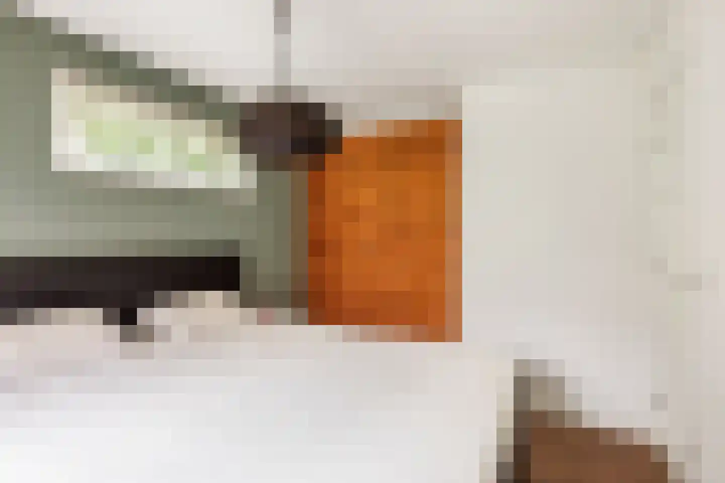 Sanatoriumlaan 2 Hellendoorn thumbnail 13