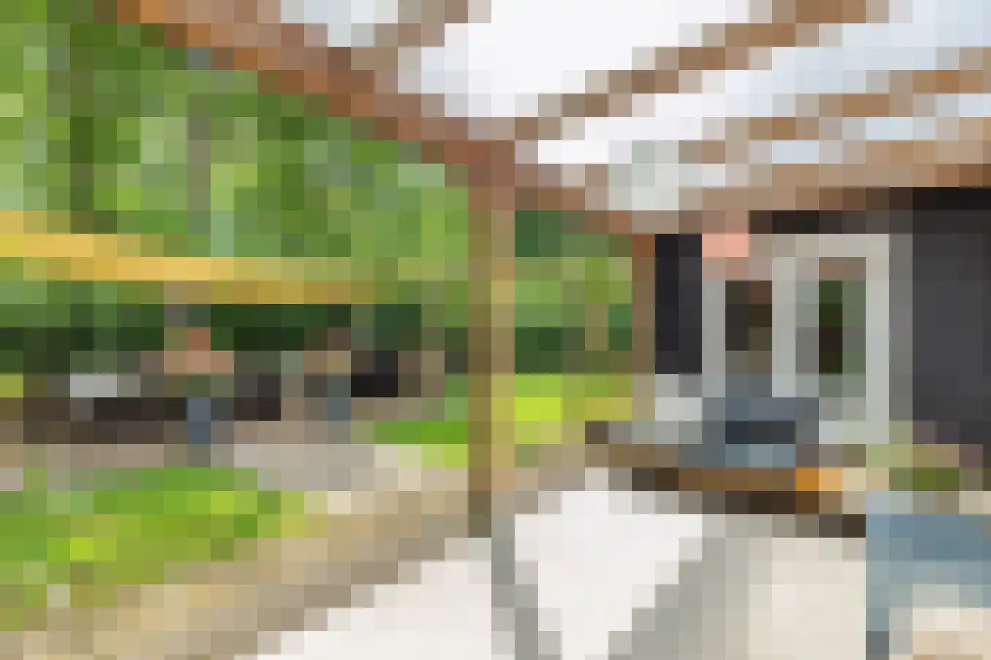 Sanatoriumlaan 2 Hellendoorn thumbnail 18