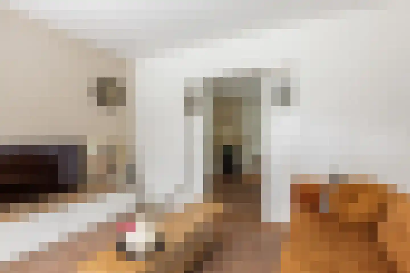 Sanatoriumlaan 2 Hellendoorn thumbnail 7