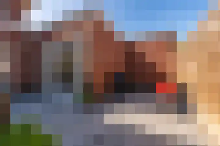 Sanatoriumlaan 45 Zeist thumbnail 32