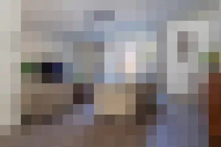 Sanatoriumlaan 45 Zeist thumbnail 7