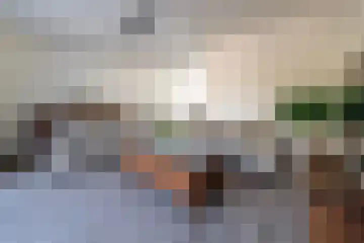 Sanatoriumlaan 45 Zeist thumbnail 9