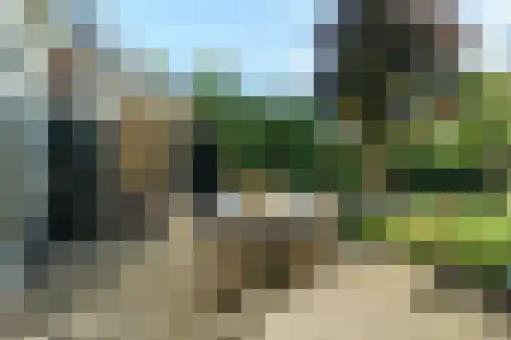 Sanatoriumlaan 46 Zeist thumbnail 21