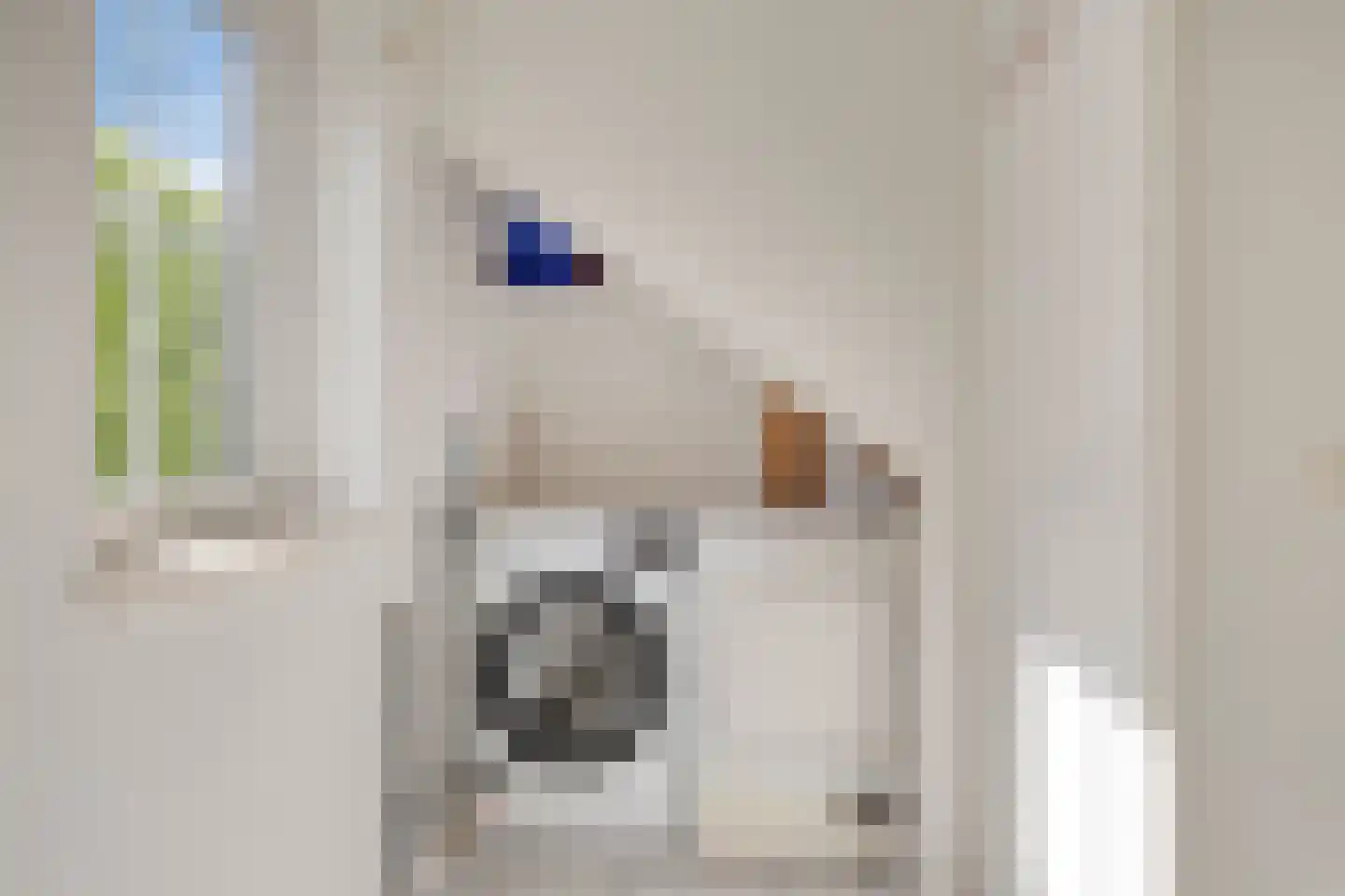 Sanatoriumlaan 6 21 Hellendoorn thumbnail 14