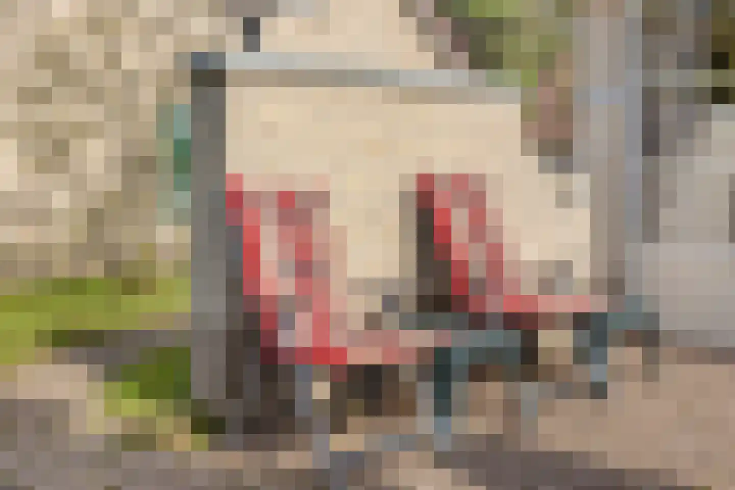 Sanatoriumlaan 6 21 Hellendoorn thumbnail 22