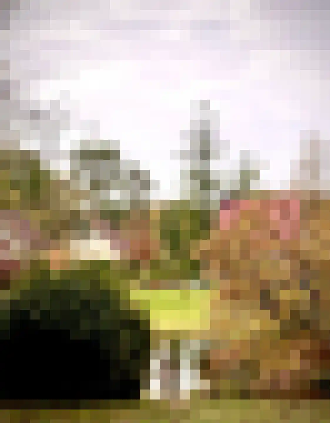 Sanatoriumlaan 6 21 Hellendoorn thumbnail 27