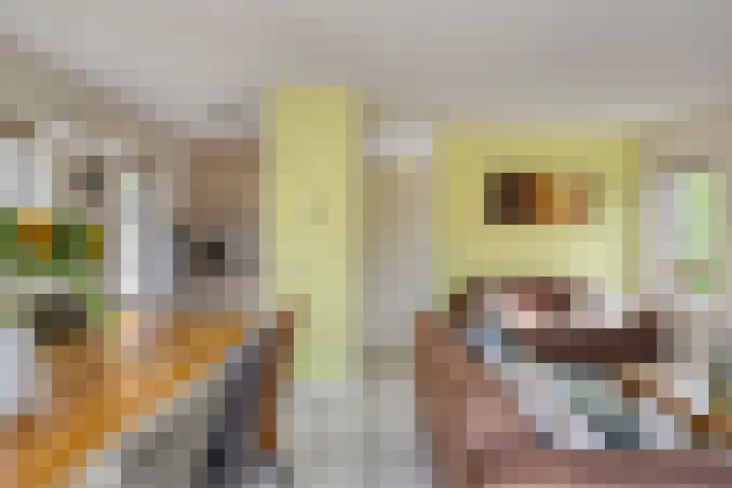 Sanatoriumlaan 6 21 Hellendoorn thumbnail 5