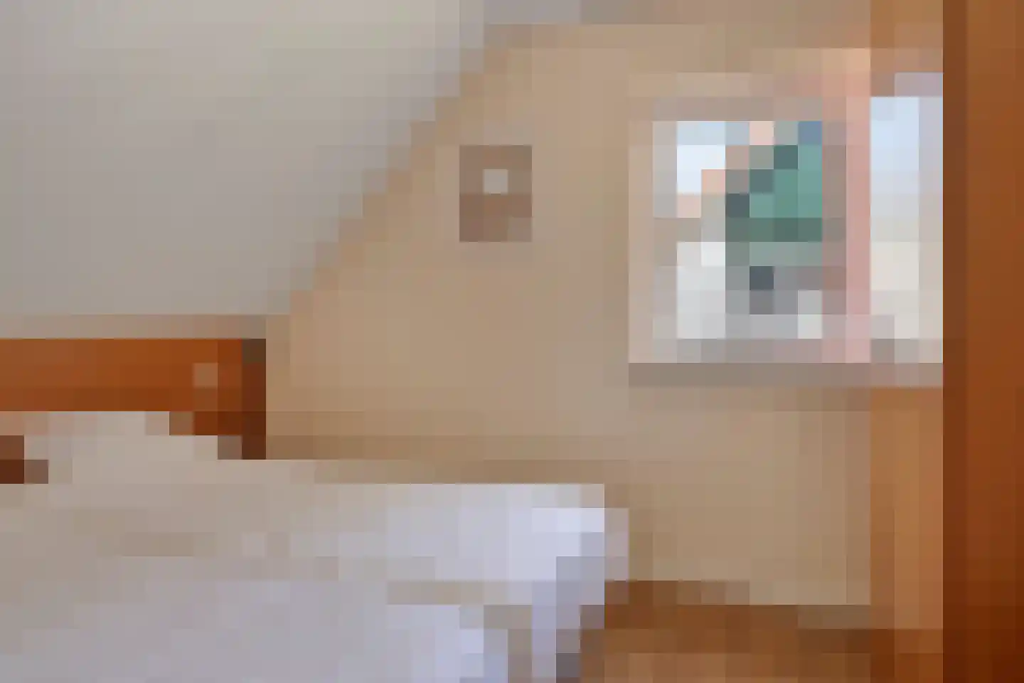 Sanatoriumlaan 6 32 Hellendoorn thumbnail 18