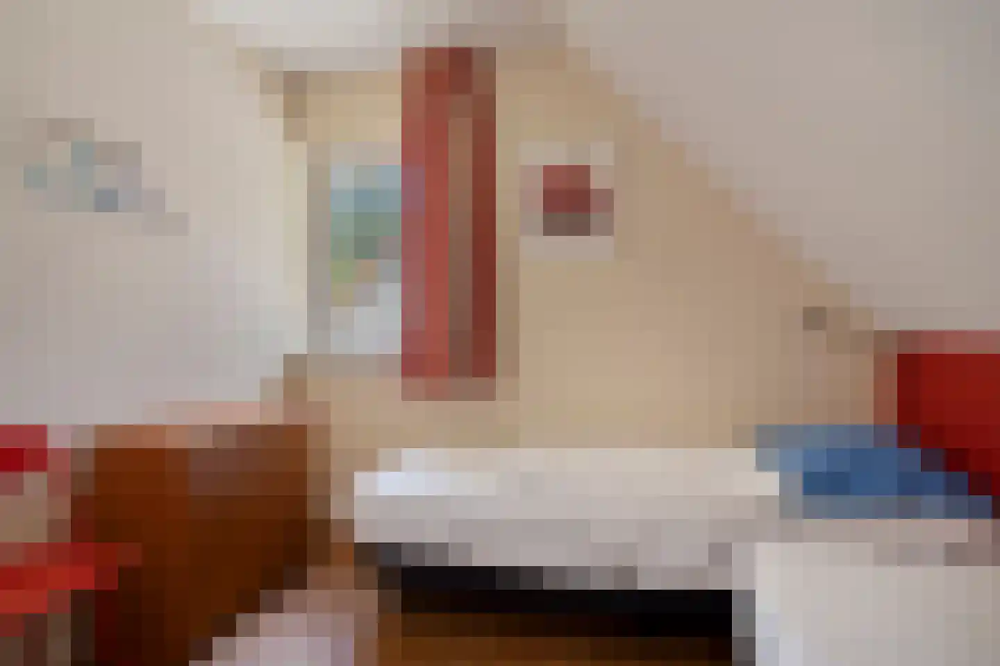 Sanatoriumlaan 6 32 Hellendoorn thumbnail 23