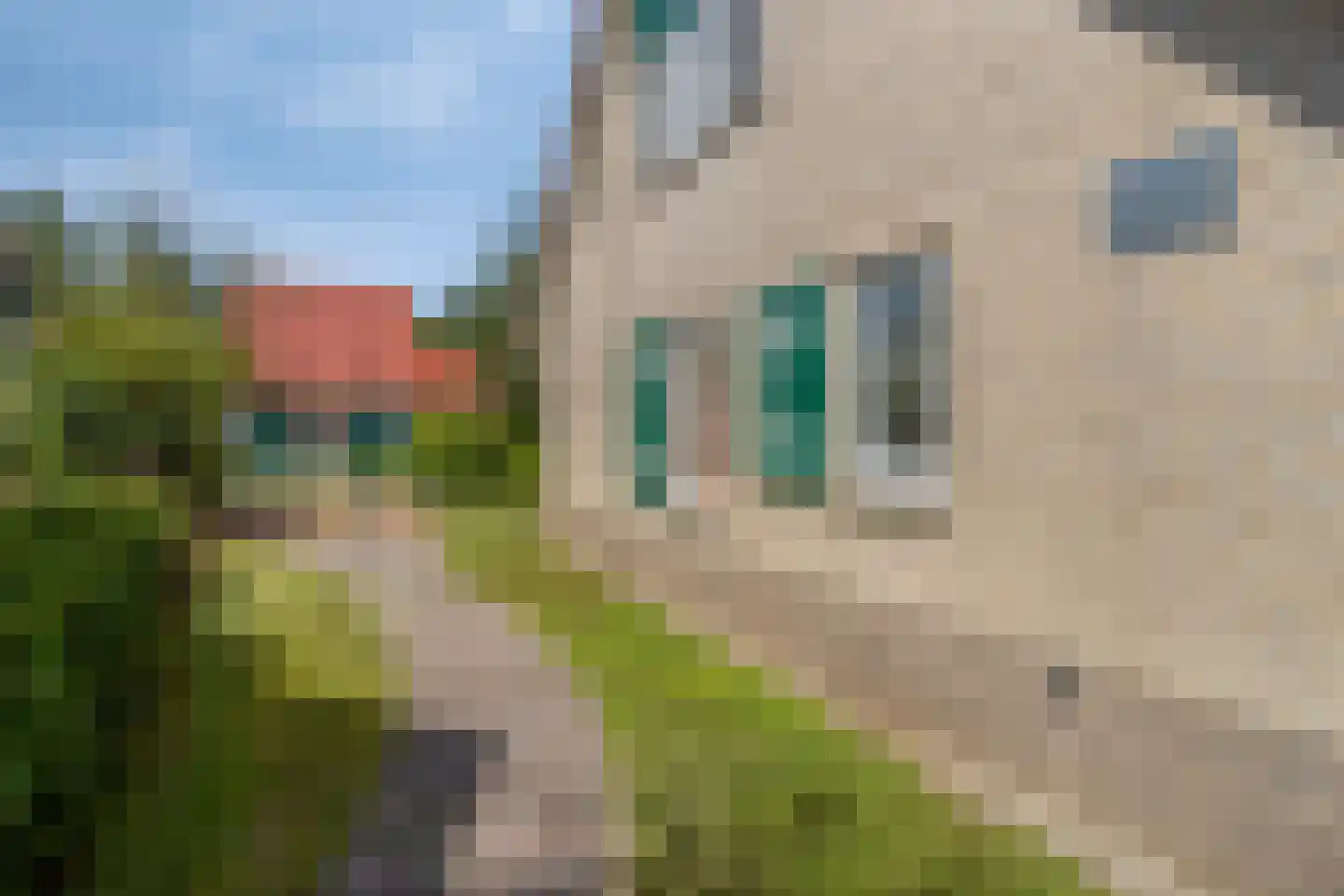 Sanatoriumlaan 6 32 Hellendoorn thumbnail 25