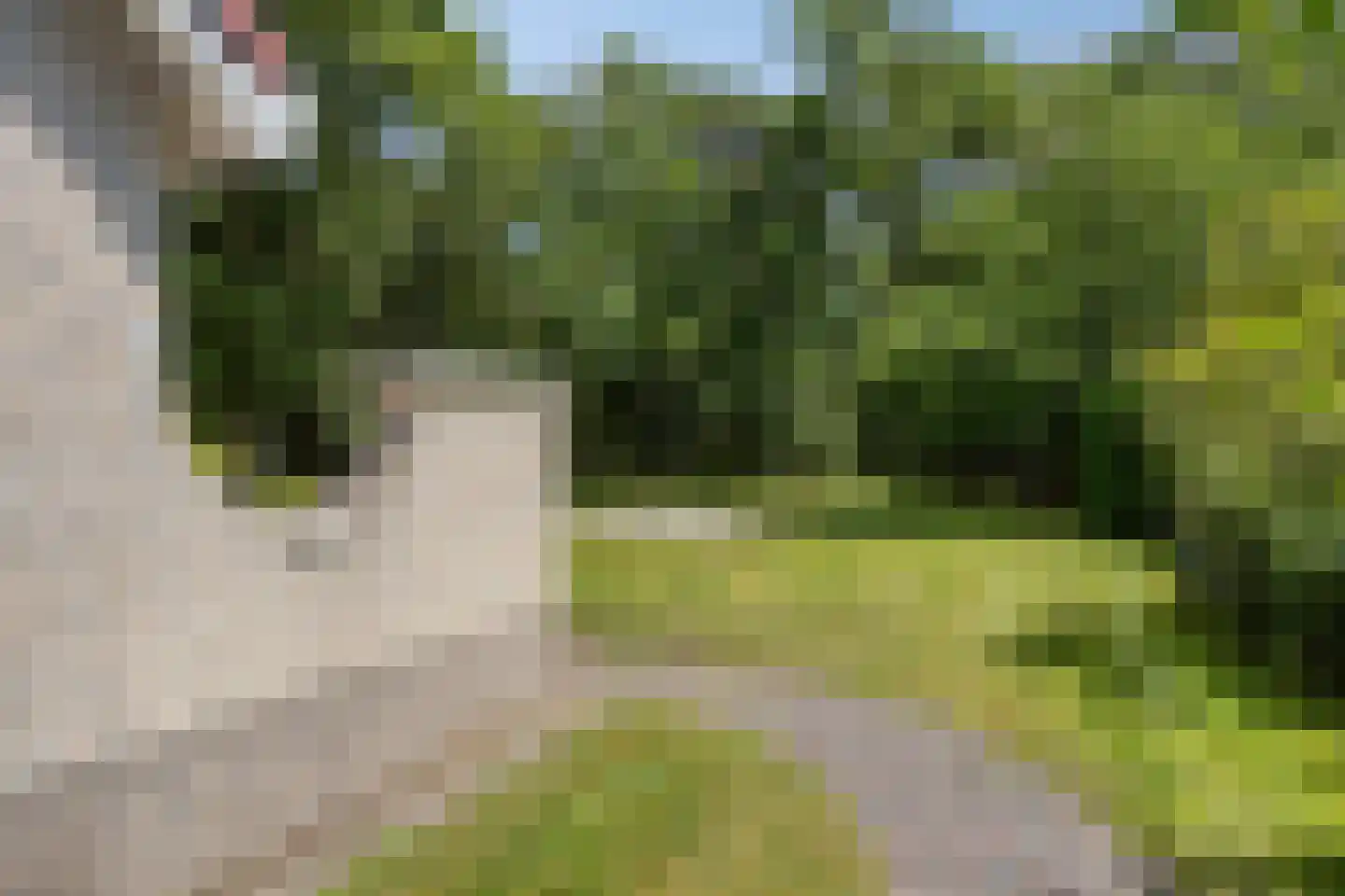 Sanatoriumlaan 6 32 Hellendoorn thumbnail 26