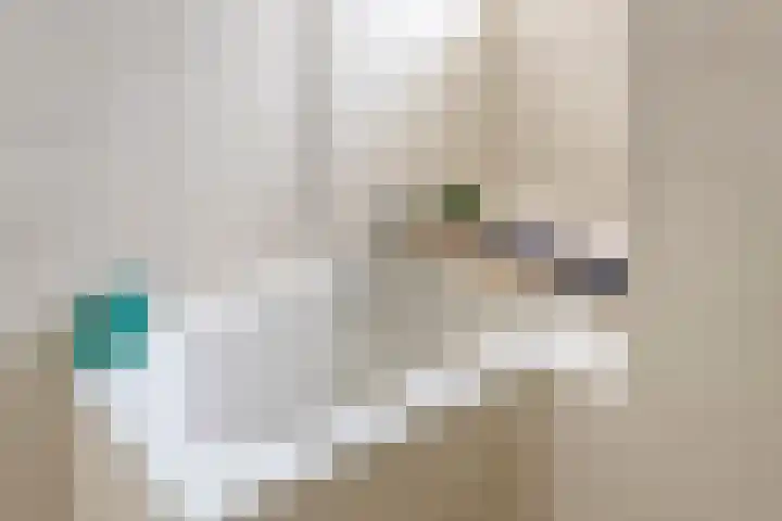 Sanatoriumlaan 6 52 Hellendoorn thumbnail 14