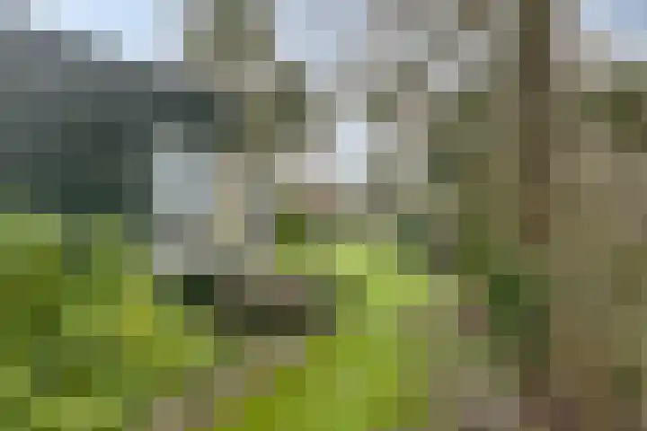 Sanatoriumlaan 6 52 Hellendoorn thumbnail 21
