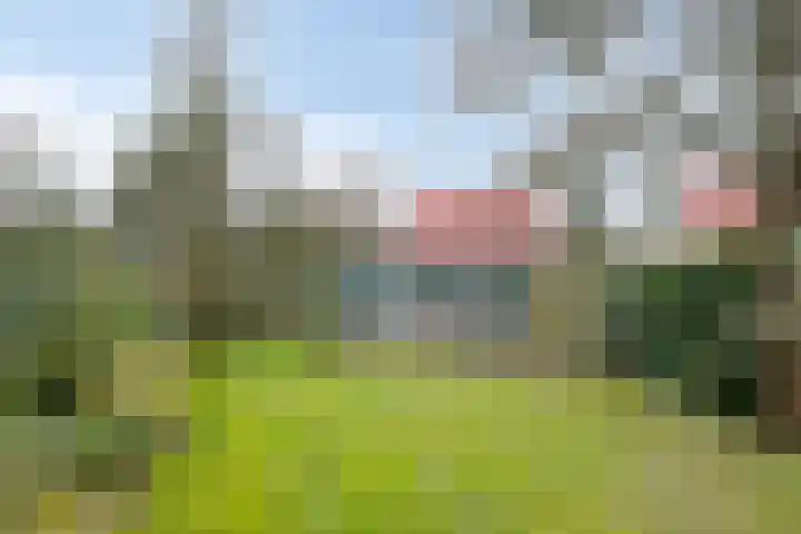 Sanatoriumlaan 6 52 Hellendoorn thumbnail 23