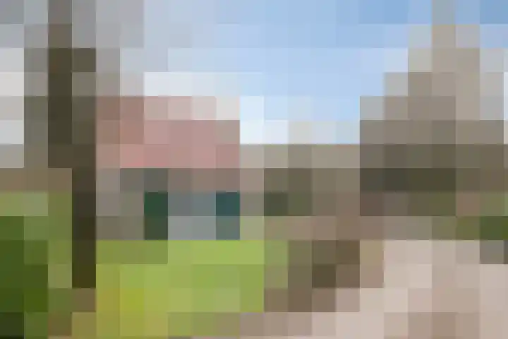 Sanatoriumlaan 6 52 Hellendoorn thumbnail 27