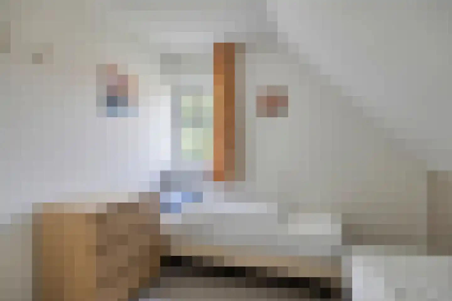 Sanatoriumlaan 6 80 Hellendoorn thumbnail 16